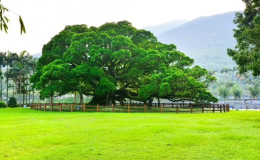 Fuzhou National Forest Park