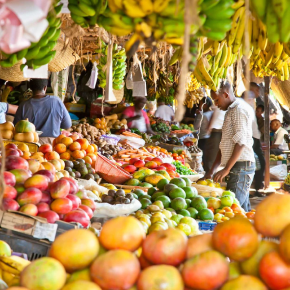 Plenty of fruits and vegetables