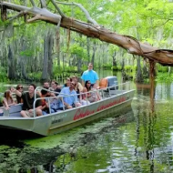 People on a boat in a river